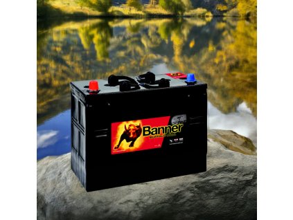 Banner Buffalo Bull 625 13, 125Ah, 12V ( 62513 ) edited 3