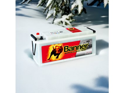 Banner Buffalo Bull SHD 610 40,110Ah, 12V ( 61040 ) 610 40 edited 1