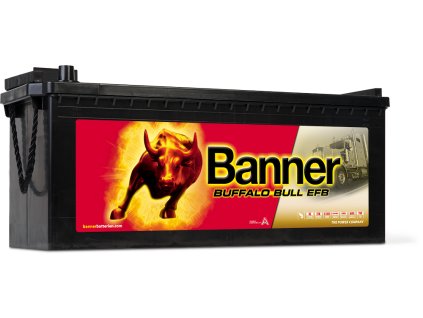 Buffalo Bull EFB 690 17
