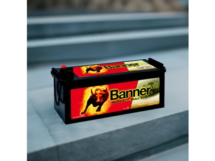 Banner Buffalo Bull EFB 650 17, 150Ah 12V V (65017) 650 17 edited 1