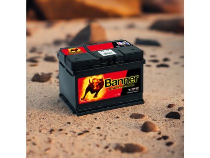 Banner Starting Bull 555 19, 55Ah, 12V ( 55519 ) 010555190101 edited 1