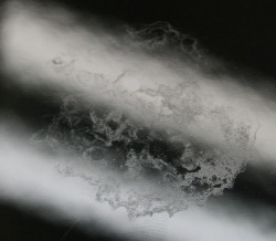 obrazek-201845154610