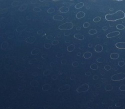 obrazek-201845154715