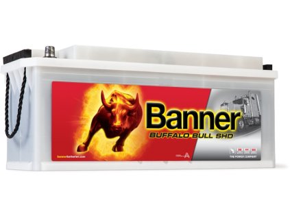 autobaterie banner buffalo bull shd 12v 135ah 900a 63544 original (2)