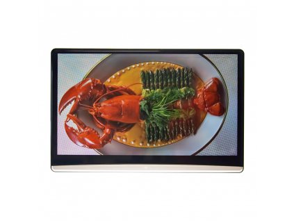 LCD monitor 13,3" OS Android/USB/SD/HDMI in/out s držákem na opěrku