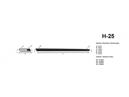 h25