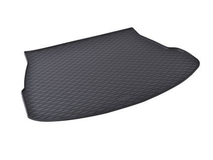 Vana do kufru gumová Lexus NX 2021- | RIGUM