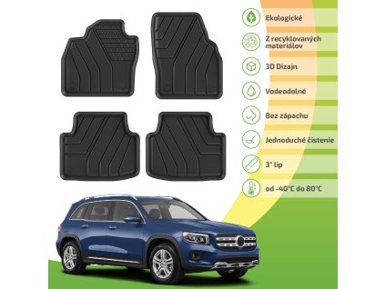 ERM1109 GLB X247 2019 SK