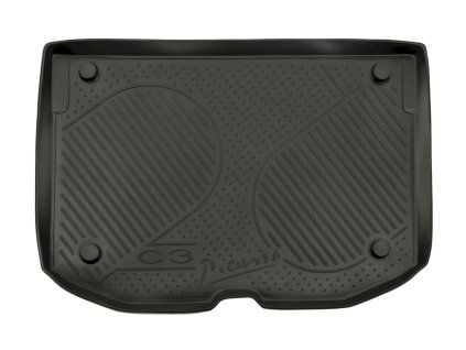 RLCI301