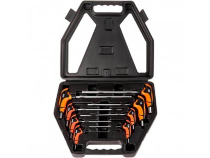 Kľúče Imbus T s guličkou H2-H10 a T rukoväťou v kazete -RICHMANN C6605