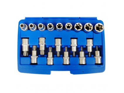 Nástrčné hlavice Torx Torx-E E10-E24 T20-T70 Zástrčné hlavice E TORX  E10 E24 , T20 T70 19ks torx klíčů