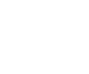 Autodolishop