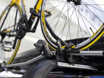 Jak vybrat nosič na kolo?