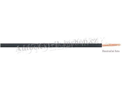 vodic