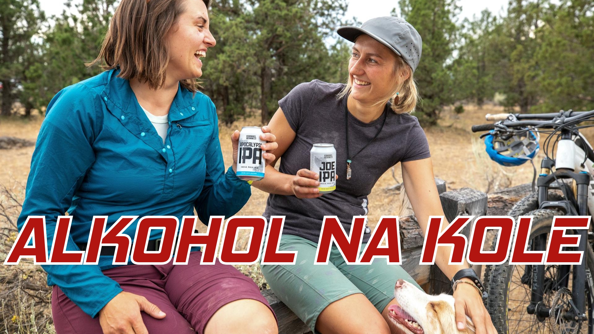 Alkohol na kole v České republice