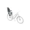 Small Thule RideAlong2 RM LightGrey DarkGrey InUse OnBike 100610