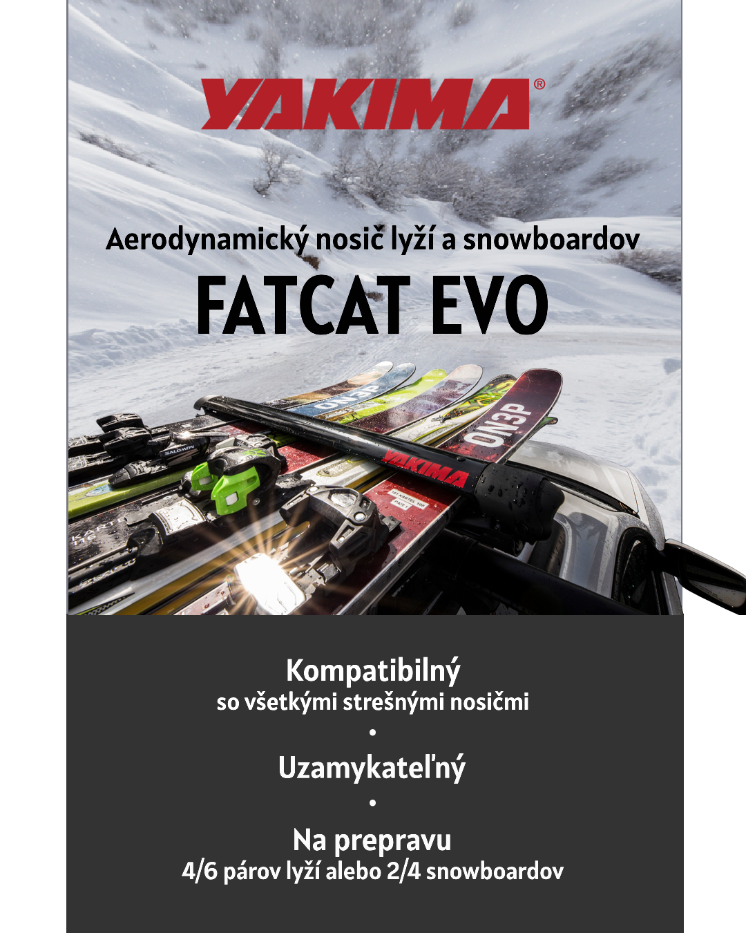 MB / Nosič lyží FatCat