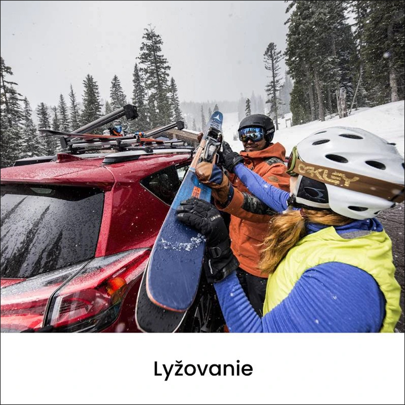 Lyžovanie