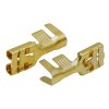 Konektor dutinka 6,3mm s jazýčkem