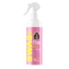 SWAG LADY All Purpose Cleaner APC RTU - Univerzální čistič (500ml)