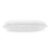 j643b41a3ac57f chemicalworkz interior cleaning scrub pad v2 3