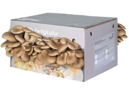 Sada na pestovanie Hlivy ustricovej Autolux (6-7kg) - kvalitný nemecký hlivový substrát s mycéliom