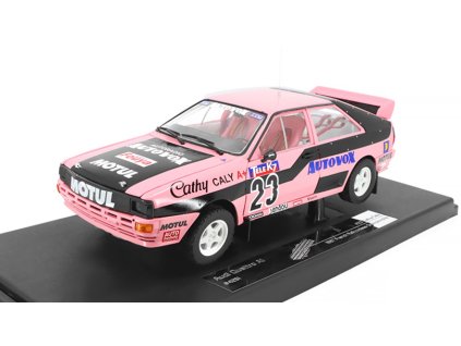 vyr 27280Audi Quattro A1 23 Cathy Cally French Rallycross Championship 1987 118 Sun Star 5