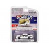 Dodge Charger Police Pursuit 2008 FBI Hot Pursuit 164 GreenLight (2)