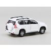 Toyota Prado Macau 164 Tiny Toys (3)
