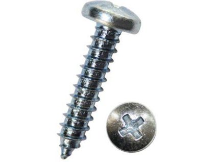 Šrouby do plechu s půlkulatou hlavou 6,3x50 mm, křížové, DIN 7981 C, balení 50 ks