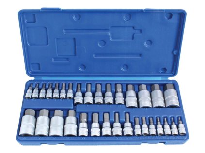 Zástrčné hlavice Imbus 1/4 ", 3/8" a 1/2 ", metrické a palcové, sada 32 ks - ASTA