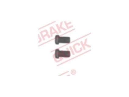 Šroub M8x1.25, na brzdové kotouče