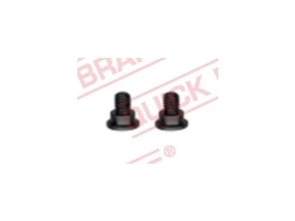 Šroub M8x1.25, na brzdové kotouče