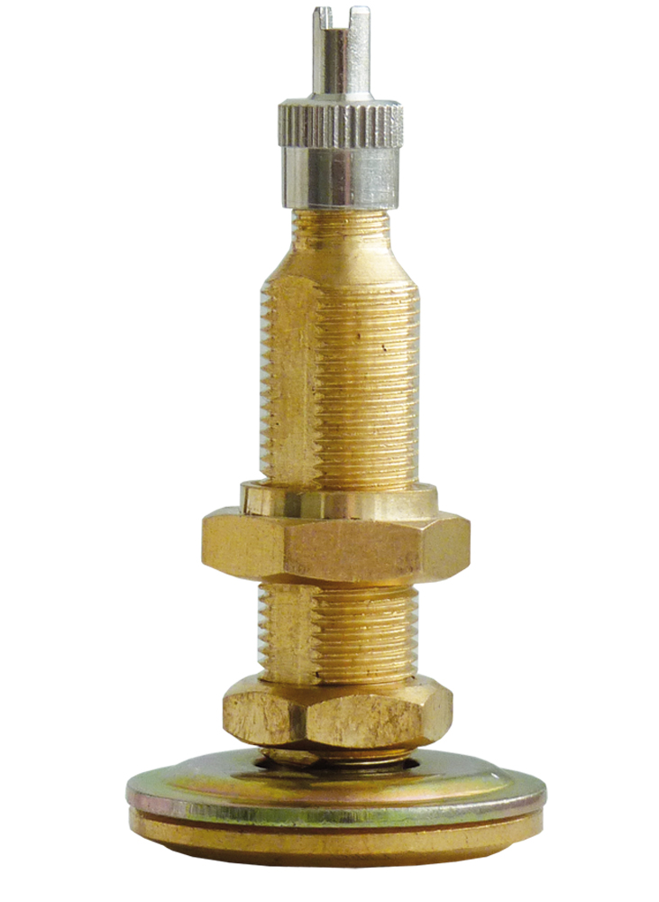 Dušové ventily MOTO, TRUCK, AGRO, rôzne druhy - Ferdus Možnosť: SP-6. dĺžka 56 mm. TRUCK. 25 ks.