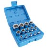 Nástrčné hlavice 1/4", 3/8" a 1/2" TORX-E,E4-E24, sada 14 ks - SATRA 2