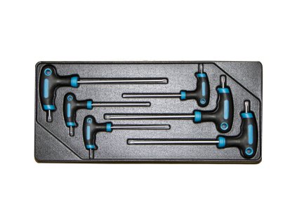 Sada T klíčů TORX ve výplni do dílenského vozíku, 6 dílů - VV006TT01