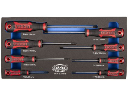 Sada šroubováků v pěnové výplni, Torx, 8 ks - LIACKE38316