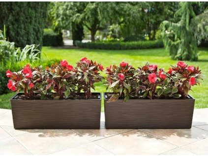 Truhlík samozavlažovací BEGONIA vrub mokka