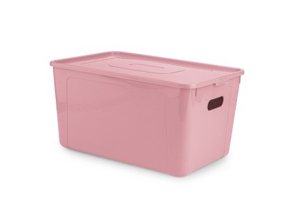 Box úložný MULTIBOX KOLOR průhmaty 39x26x20,5cm 17L, mix barev