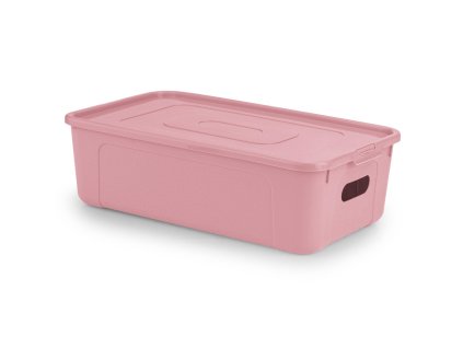 Box úložný MULTIBOX KOLOR průhmaty 34x20x10cm 5L, mix barev