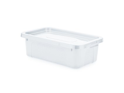 Box úložný MULTIBOX 33x20x10cm 4,5L čirý