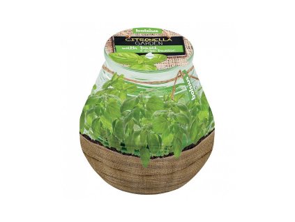 Svíčka bolsius Teracce Citronella, 94/91mm, bazalka