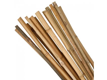 Bambusová tyč 120cm, průměr 10-12mm, 10ks