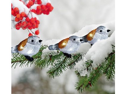 Řetěz MagicHome A Bird, 25 LED, IP44, 3xAA, 5ptáčků