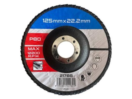 Kotouč lamelový brusný na kov, dřevo Ø 125 x 22,2 mm, zrnitost 80