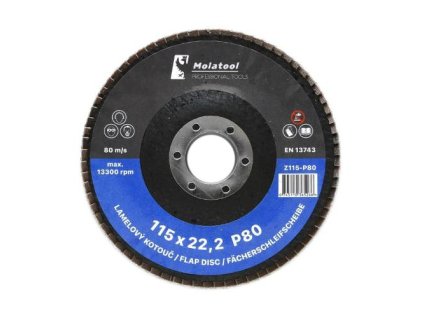 Kotouč lamelový brusný Ø 115 x 22,2 mm, P80, VSM Zirkon