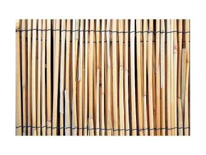 Plot rákos, 1500mm, L-5m, obyčejný, Bag