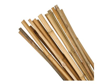 Tyč bambusová Garden KBT 1500/12-14mm, 10ks
