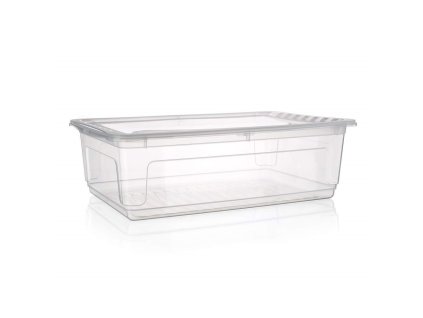 Box úložný BEA 59x39x18cm nízký 30L čirý