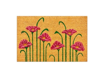 Rohožka MH-06 40x60cm